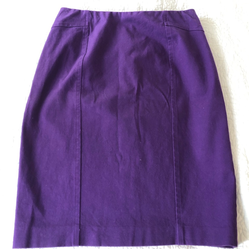 Ann Taylor Pencil Skirt